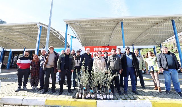 ZEYTİN SEFERBERLİĞİ