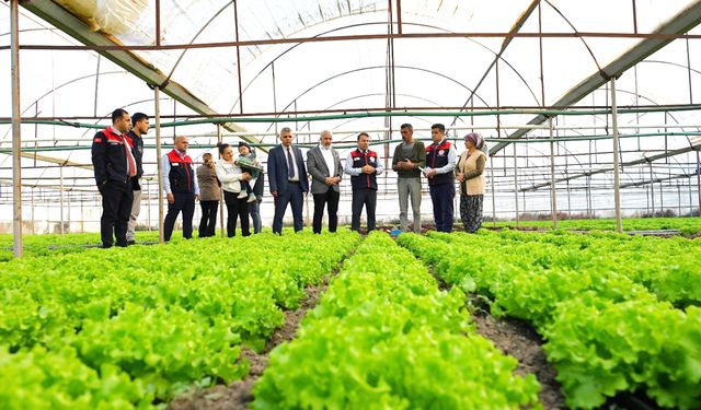 DENİZLİ’DE BİTKİSEL ÜRETİM YÜZ GÜLDÜRDÜ