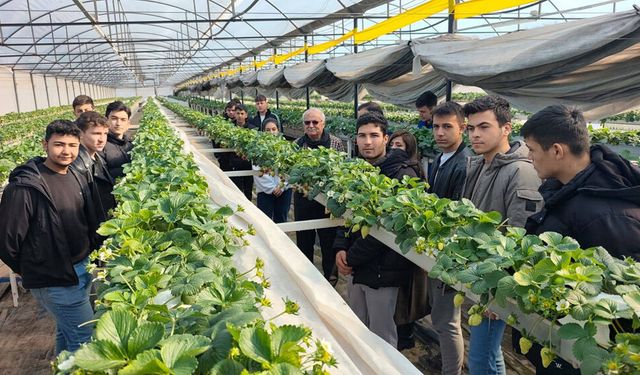 BAKLAN’DA ÖĞRENCİLER TOPRAKSIZ TARIMI ÖĞRENİYOR