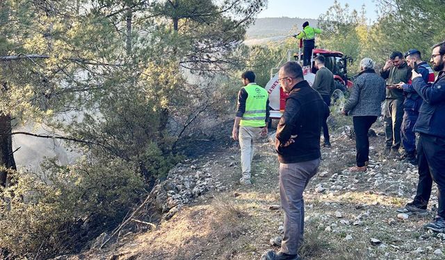 GÜNEY’DE ORMAN YANGINI