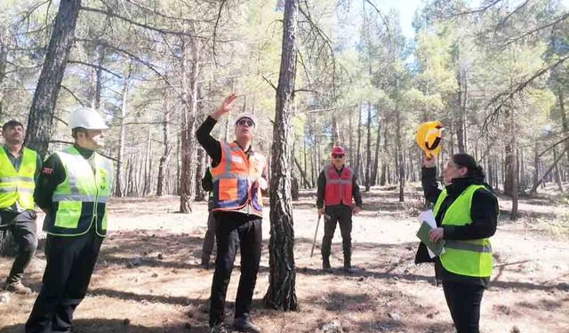 BÖLGE MÜDÜRÜ ACIPAYAM’DA ORMANLIK ALANLARI GEZDİ