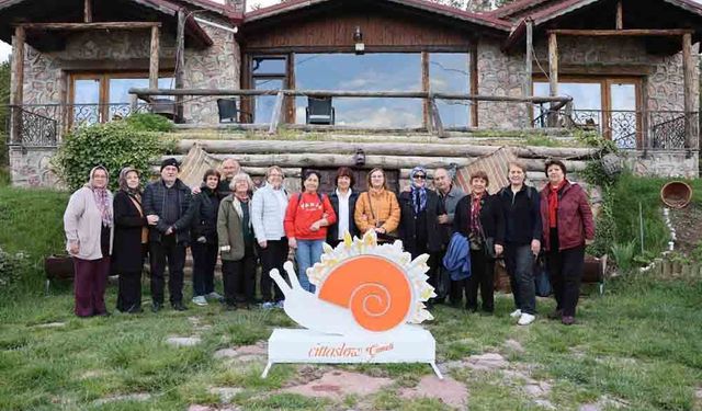 SAKİN ŞEHİR ÇAMELİ HAYRAN BIRAKIYOR