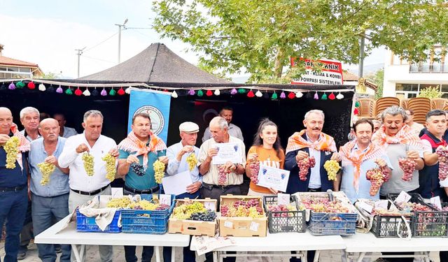 ACIPAYAM AVŞAR ÜZÜMÜ TESCİLLENDİ