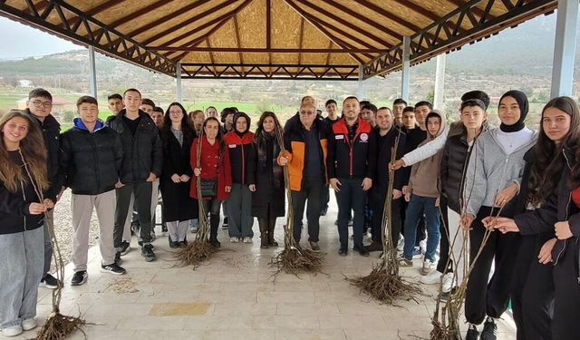 BAKLAN’DA KESTANE YETİŞECEK