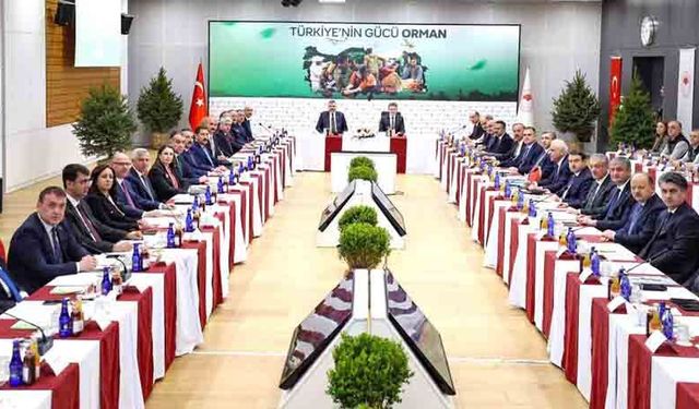 ORMAN YANGINLARIYLA MÜCADELEDE  ÜST DÜZEY BULUŞMA