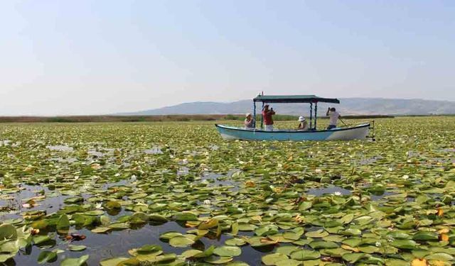 DOĞAL YAŞAM ENDİŞESİ