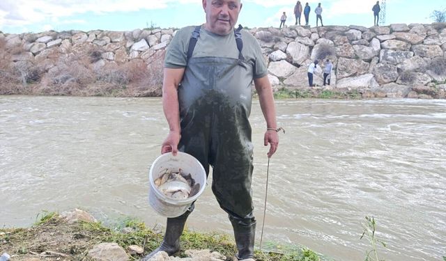 10 YILDIR TEK DAMLA SU AKMAYAN ÇAYDA ŞİMDİ BALIK AVLANIYOR