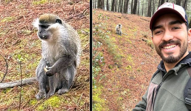 ÇAMLIK’TAKİ MAYMUN FİRARİYMİŞ