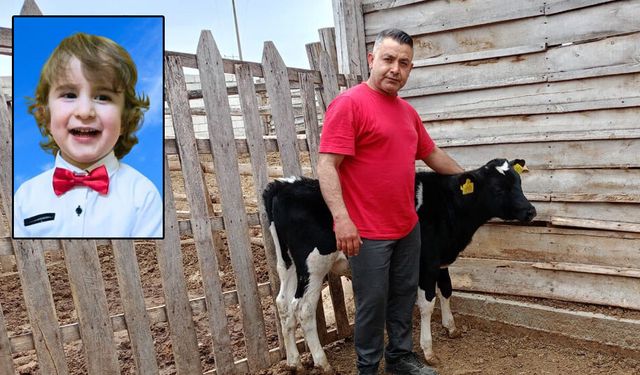 MERT İÇİN SEFERBERLİK