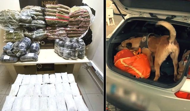 BÜYÜK ZEHİR BASKINI