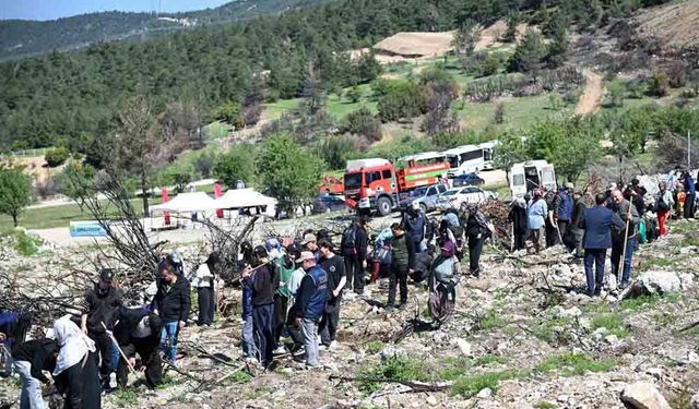 HONAZ’DA YANAN ALAN 28 ŞEHİT İÇİN AĞAÇLANDIRILDI