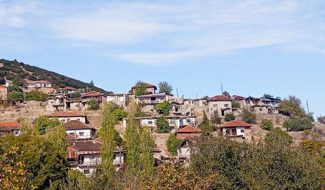 DAĞMARMARA, KÜLTÜR KÖYÜ OLACAK