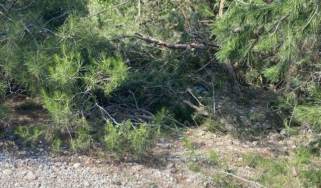 UÇURUMA YUVARLANAN TRAKTÖR SÜRÜCÜSÜ HAYATINI KAYBETTİ
