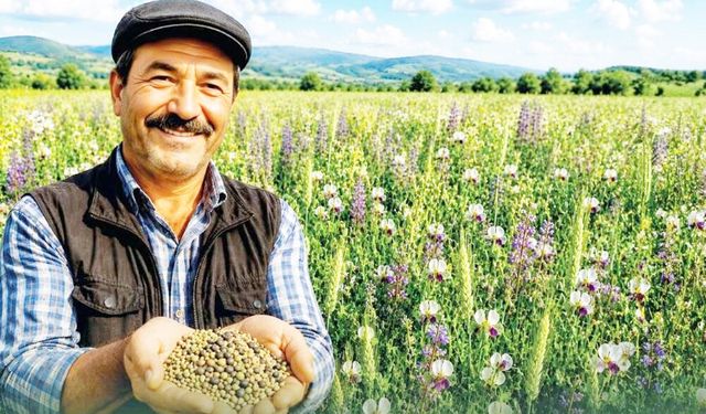 DENİZLİ BÜYÜKŞEHİR BELEDİYESİ'NDEN 5’Lİ KARIŞIM TOHUM DESTEĞİ