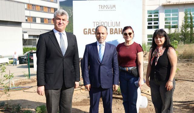 TOHUMDAN MUTFAĞA UZANAN SERÜVEN