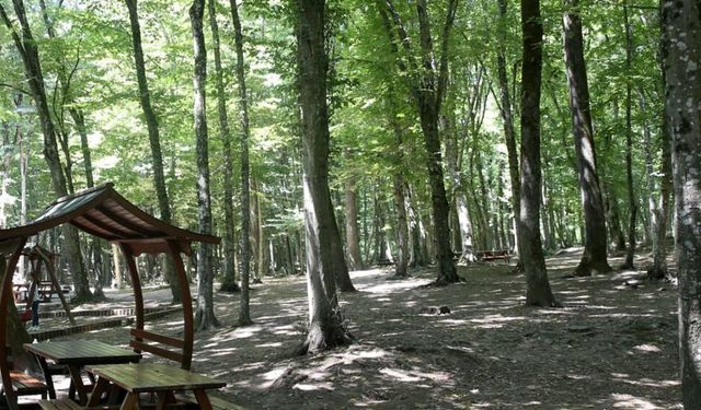 ORMANLARDA YASAK DÖNEMİ BAŞLADI
