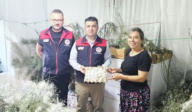 İPEK BÖCEĞİ YETİŞTİRİCİSİ MUHTARA TARIM’DAN DESTEK