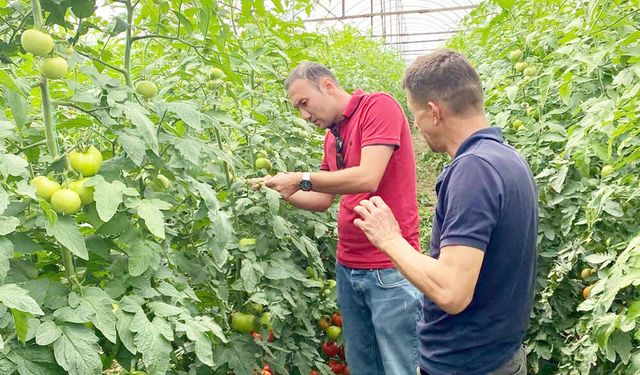ACIPAYAM’DA SERALARDA GÖZLEM