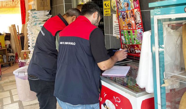ÇAMELİ’DE GIDA DENETİMİ
