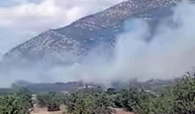 ACIPAYAM'DA ORMAN YANGINI