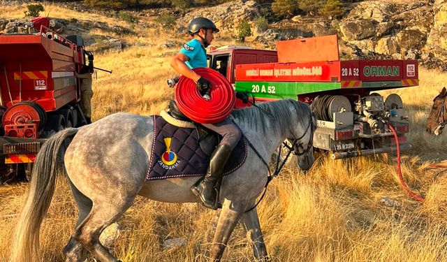 YANGIN HORTUMLARINI ATLI JANDARMA TAŞIDI