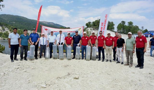 1.4 MİLYON SAZAN GÖLLERE BIRAKILDI