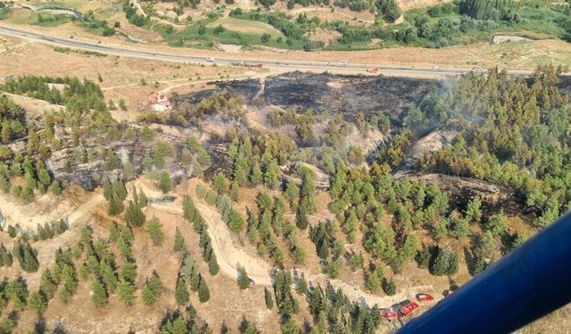 YOL KENARINDA BAŞLADI, ORMANLIK ALANA SIÇRADI