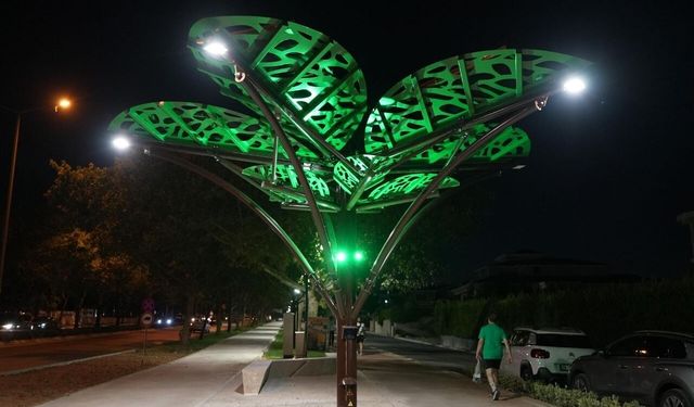 “SOLAR AĞAÇ” KENTLE BULUŞTU
