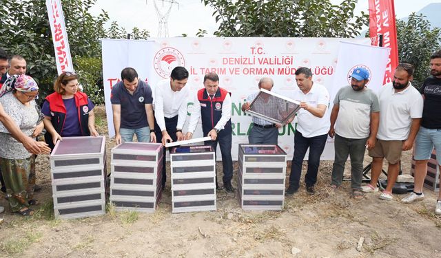 ZARARLIYA KARŞI ETKİLİ MÜCADELE