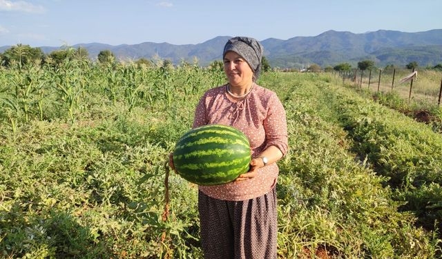 ATA TOHUMU İLE GELEN BEREKET