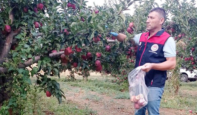 HASAT ÖNCESİ DENETİM