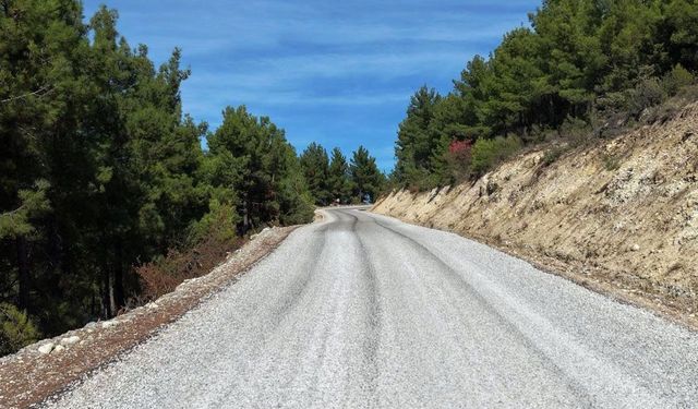 GÜLBAĞLIK YOLU AÇILDI