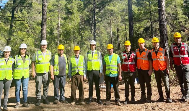 BEYAĞAÇ KAYMAKAMI HAYDARİ’DEN ORMANDA İNCELEME