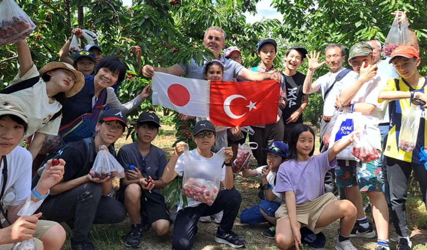JAPON KONUKLAR KİRAZ HASADI YAPTI