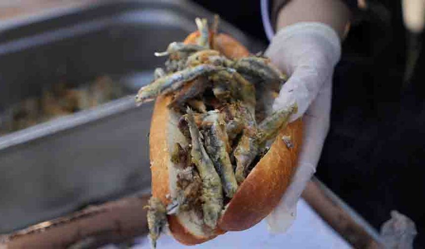 DENİZLİ KARADENİZLİLER DERNEĞİ’NDEN HAMSİ FESTİVALİ