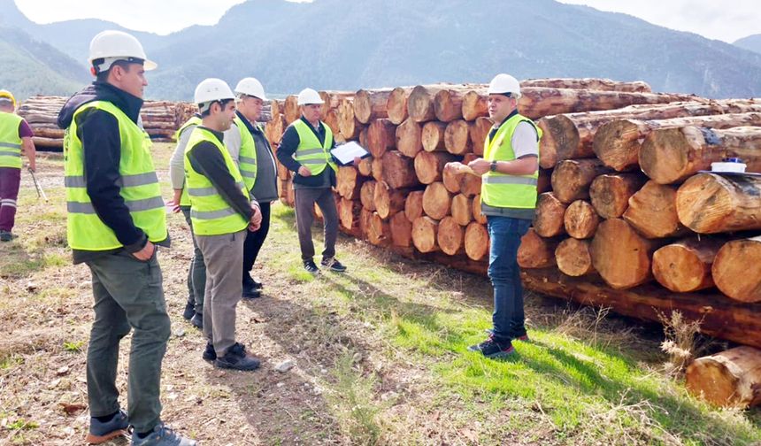 ORMAN BÖLGE’DE ZARARLI DENETİMİ