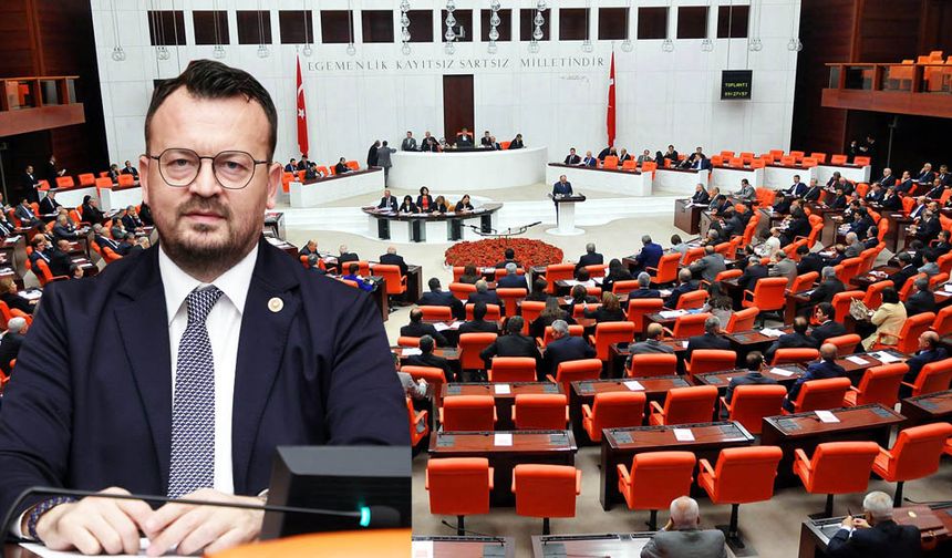 BABADAĞ’I MECLİS’E TAŞIDI