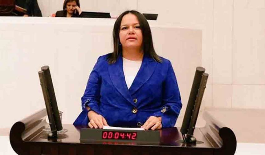 CHP’Lİ ARPACI İLE AK PARTİLİ ÖK ARASINDA DOĞALGAZ POLEMİĞİ