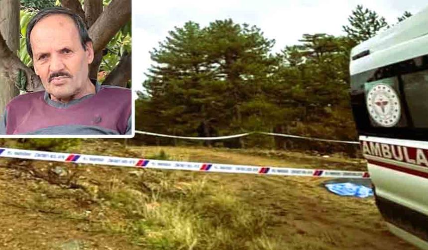 ÇINTAR TOPLAMAK İÇİN GİTTİ, ORMANDA ÖLÜ BULUNDU