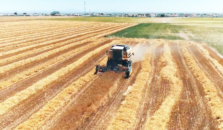 KIRSAL YATIRIMCILA 13.5 MİLYARLIK DESTEK