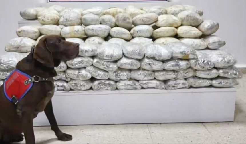 1.6 TON UYUŞTURUCU 750 BİN HAP ELE GEÇİRİLDİ