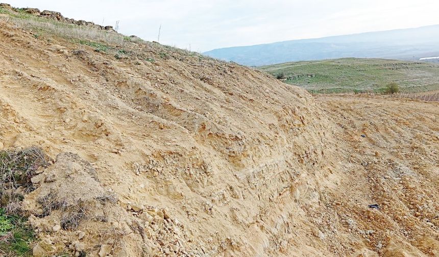 SİT ALANINI DOZERLE TALAN ETTİLER