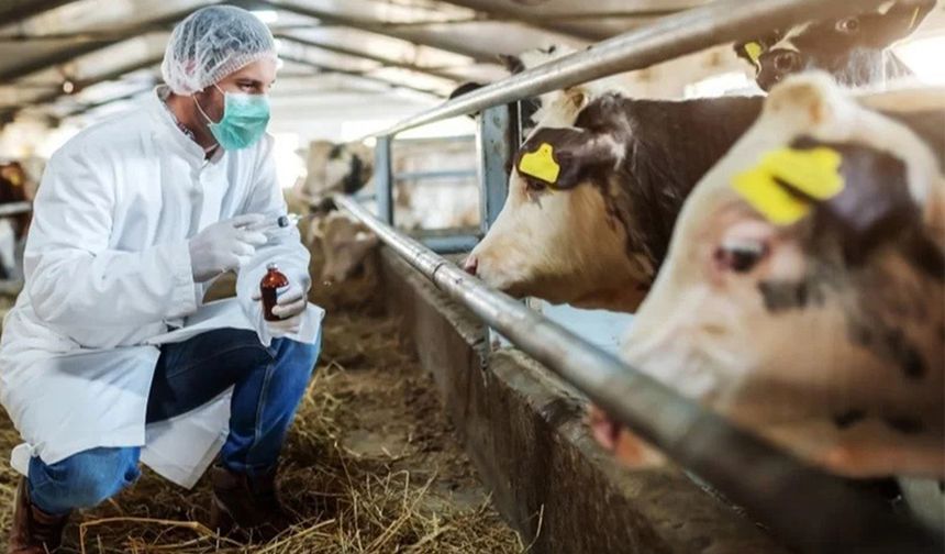 ŞAP HASTALIĞI İLE ETKİN MÜCADELE