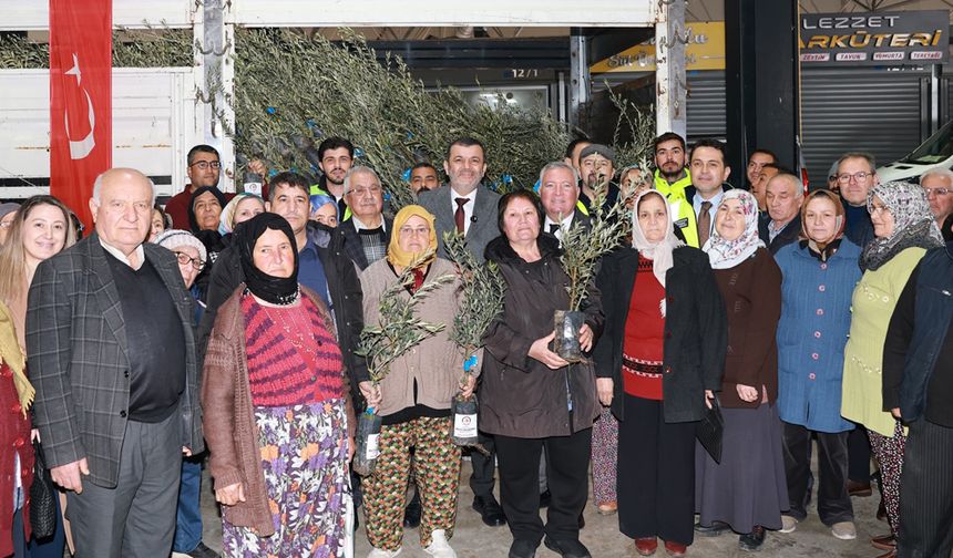 BÜYÜKŞEHİR’DEN HONAZLI ÜRETİCİYE 4 BİN 236 ZEYTİN FİDANI