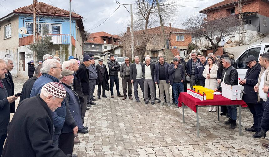 ŞAPLA MÜCADELE SÜRÜYOR