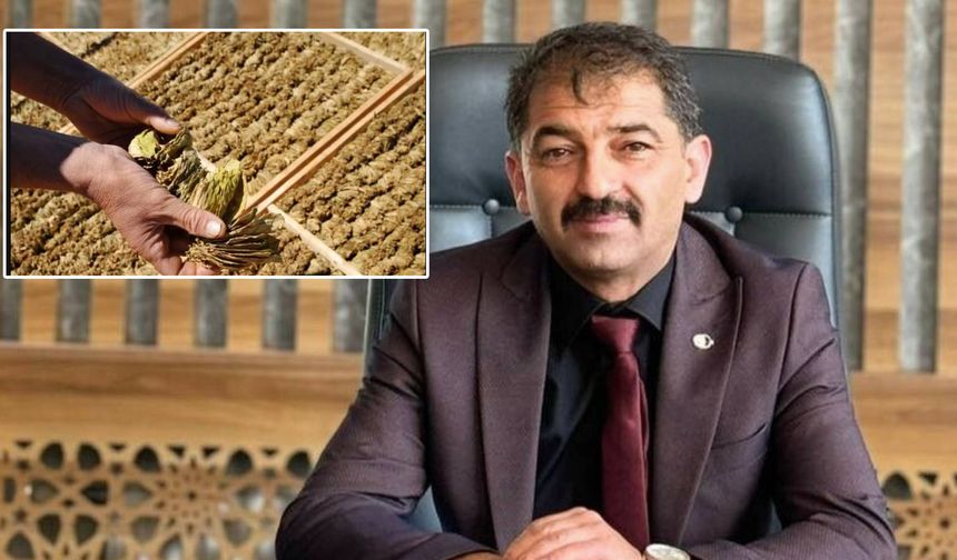 BAŞKAN HAYLA: TÜTÜNCÜNÜN SABRI TAŞIYOR