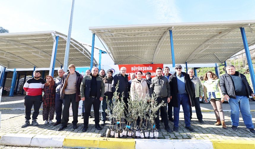 ZEYTİN SEFERBERLİĞİ