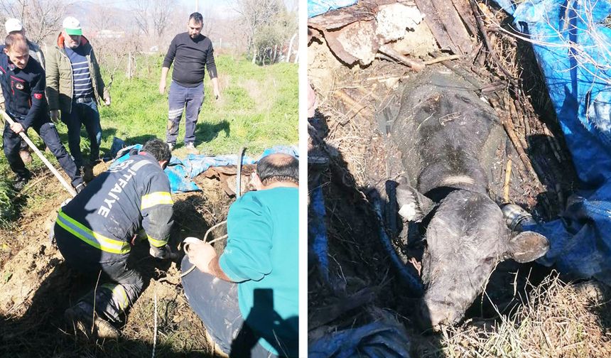 İNEĞİN İMDADINA İTFAİYE YETİŞTİ