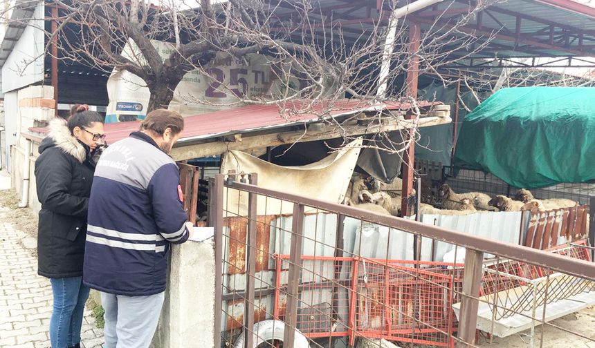 DESTEKLEME TESPİTLERİ SÜRÜYOR