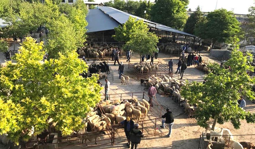 ÜRETİCİYİ SEVİNDİREN GELİŞME